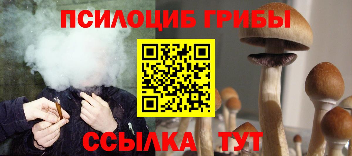 Галлюциногенные грибы Psilocybe  Вход с VPN  Дубна 